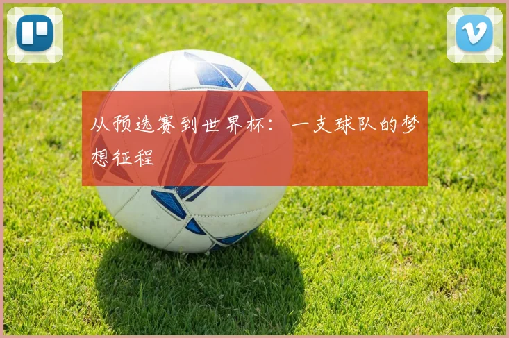 从预选赛到世界杯：一支球队的梦想征程