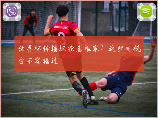 世界杯转播权花落谁家？这些电视台不容错过