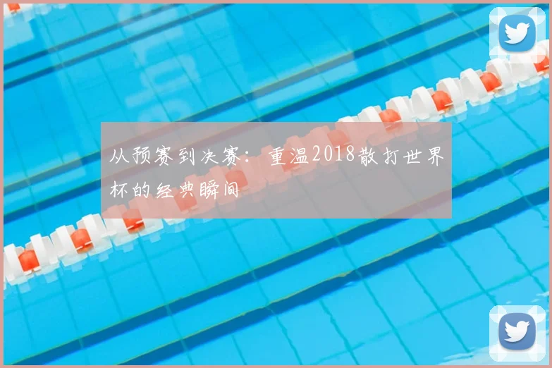 从预赛到决赛：重温2018散打世界杯的经典瞬间
